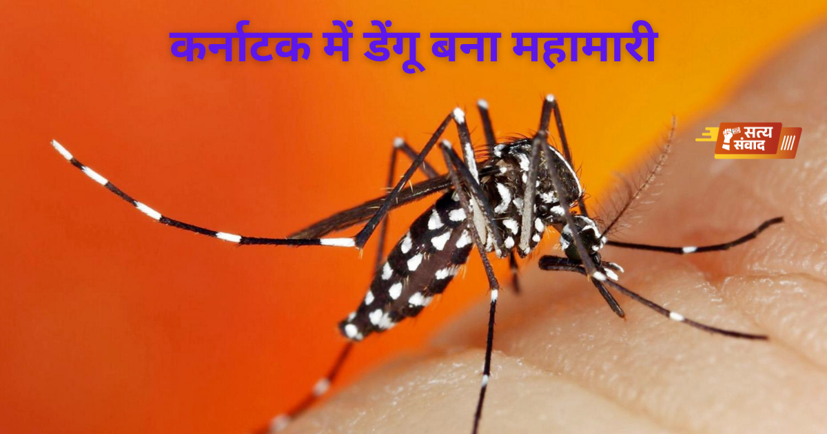 dengue fever,Karnataka government,dengue cases,Bengaluru dengue patients,mosquito breeding
