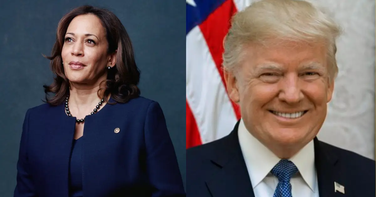 total seats in us presidential election,us presidential election,us presidential election 2024,us presidential polls,अमेरिकी राष्ट्रपति चुनाव,अमेरिकी राष्ट्रपति चुनाव 2024